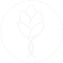 Blanc - fond transparent